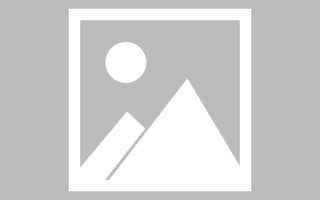 新疆自助网站建设怎么建设的（自助网站建设平台）